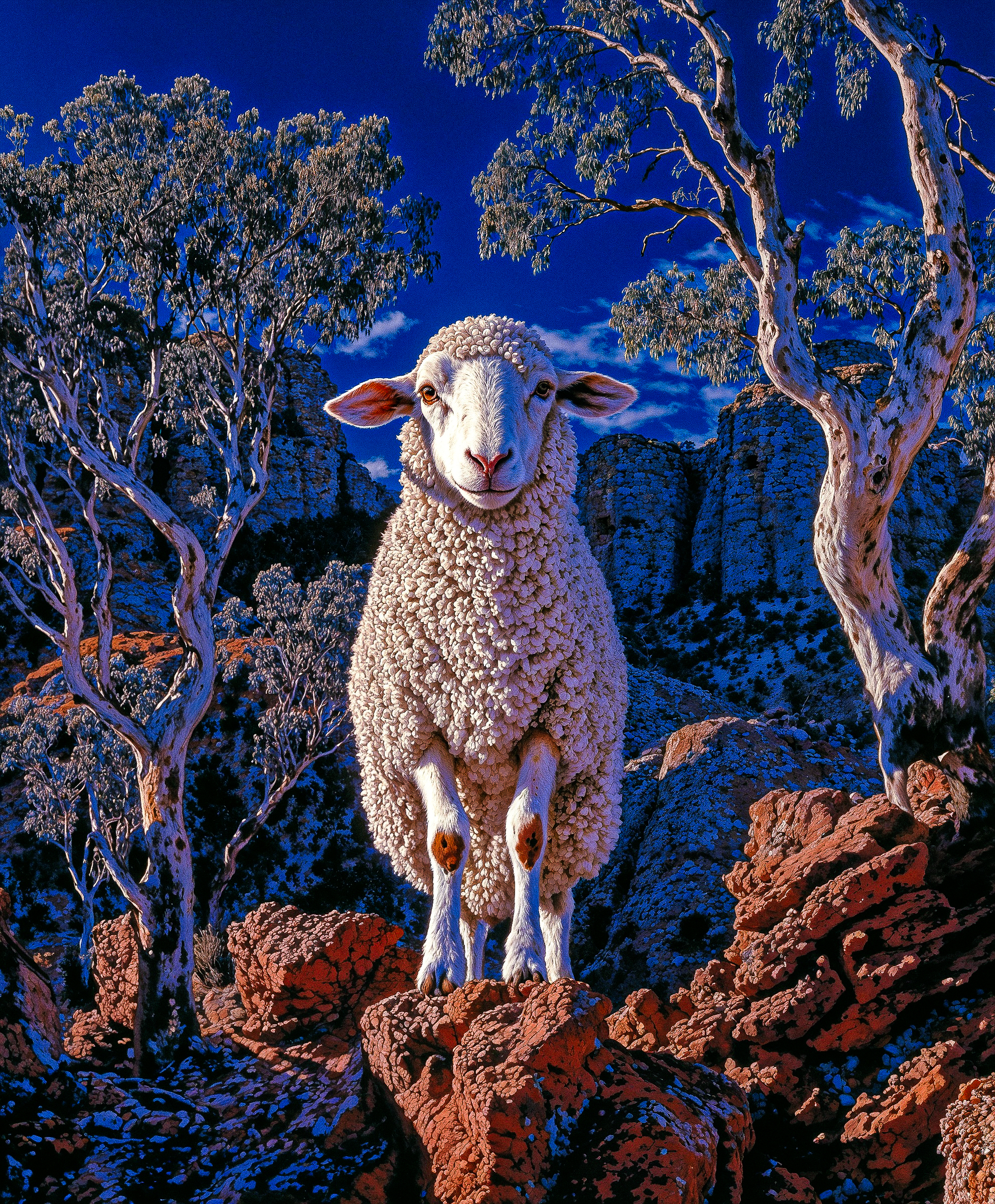 Wool.Tech close-up art